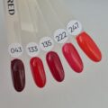 Classic Red geellakkide komplekt
