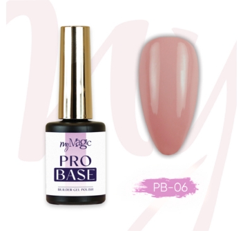 Pro Base alusgeel PB 06