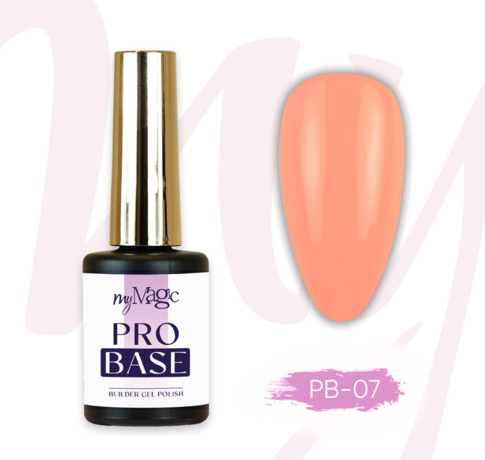 Pro Base alusgeel PB 07
