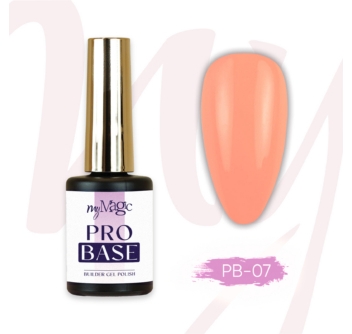 Pro Base alusgeel PB 07
