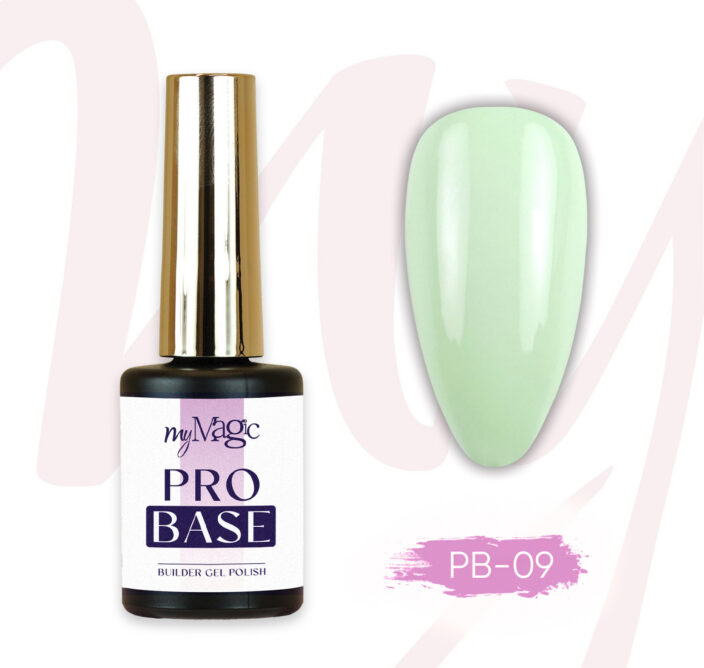 Pro Base alusgeel PB 09