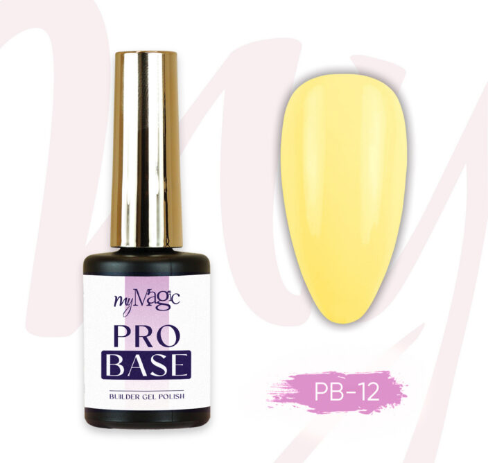 Pro Base alusgeel PB 12