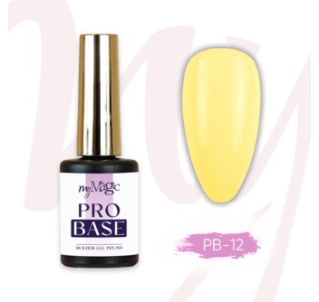 Pro Base alusgeel PB 12
