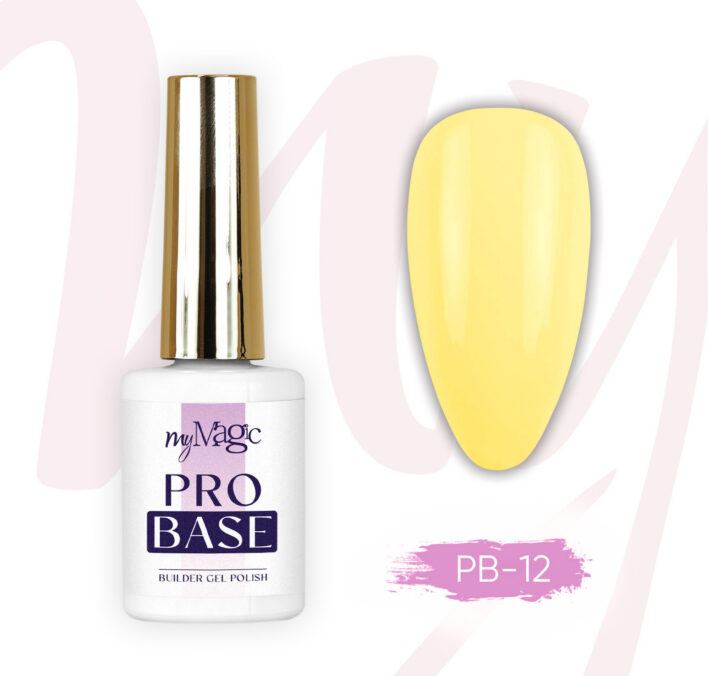 Vedel ehitusgeel pudelis Pro Base 12