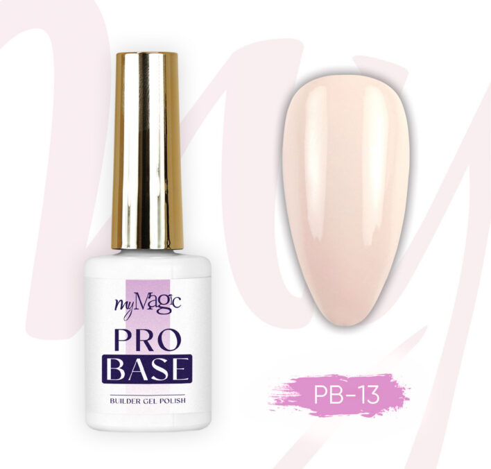 Vedel ehitusgeel pudelis Pro Base 13