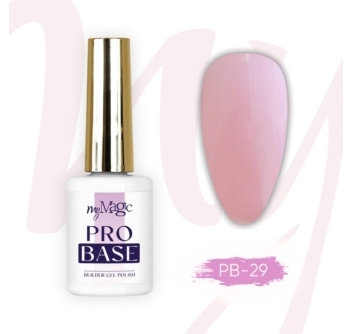Pro Base ehitusgeel pudelis PB-29