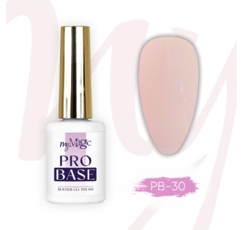 Pro Base ehitusgeel pudelis PB-30