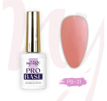 Pro Base ehitusgeel pudelis PB-31